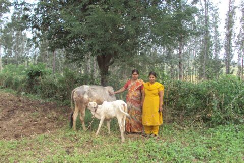 Občanská angažovanost na indické vesnici má sílu měnit věci k lepšímu