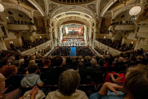32. benefiční koncert orchestr fok brauner (1)