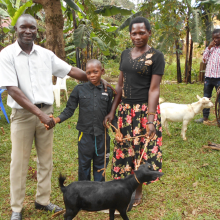 kozy uganda mimořádné platby