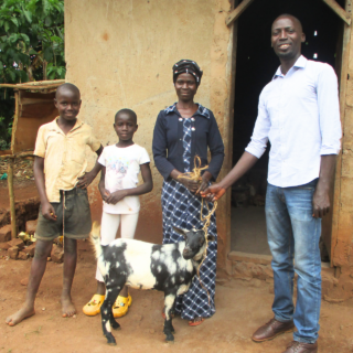 kozy uganda mimořádné platby