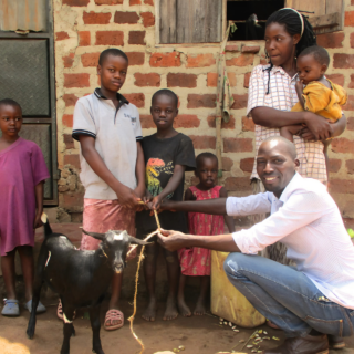 kozy uganda mimořádné platby