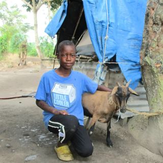 kozy uganda mimořádné platby