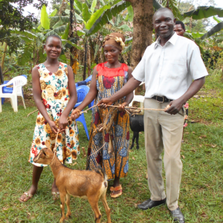 kozy uganda mimořádné platby