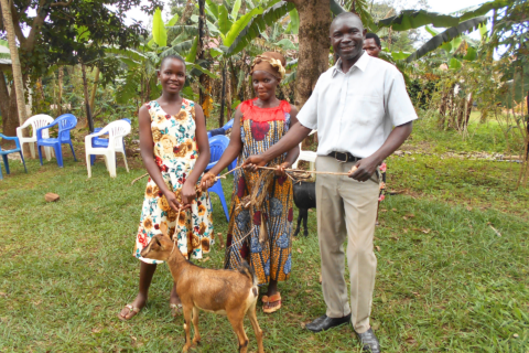 kozy uganda mimořádné platby