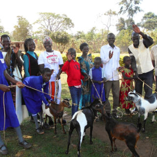 kozy uganda mimořádné platby